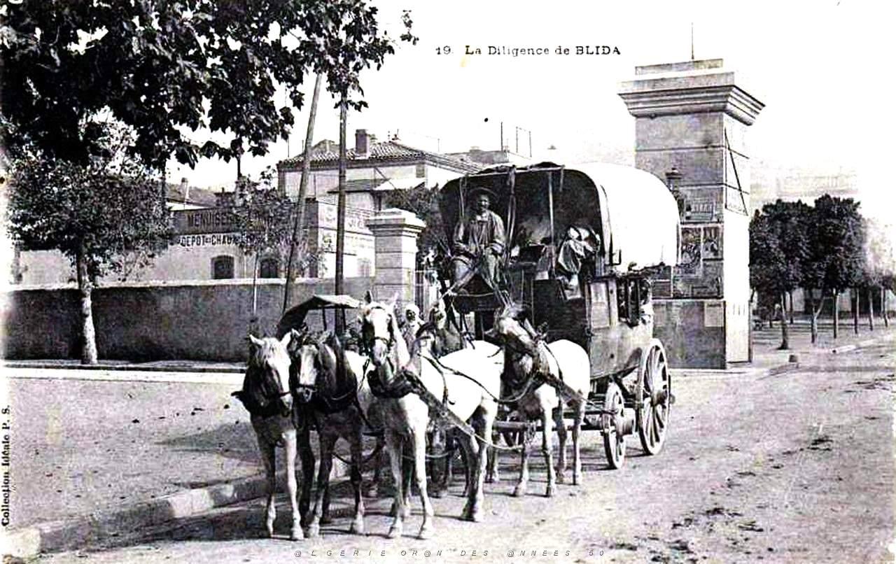 Images d'Algerie 217.jpg